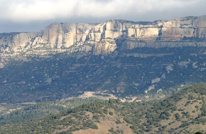 Pla Del Castell I Albarca Exterior foto